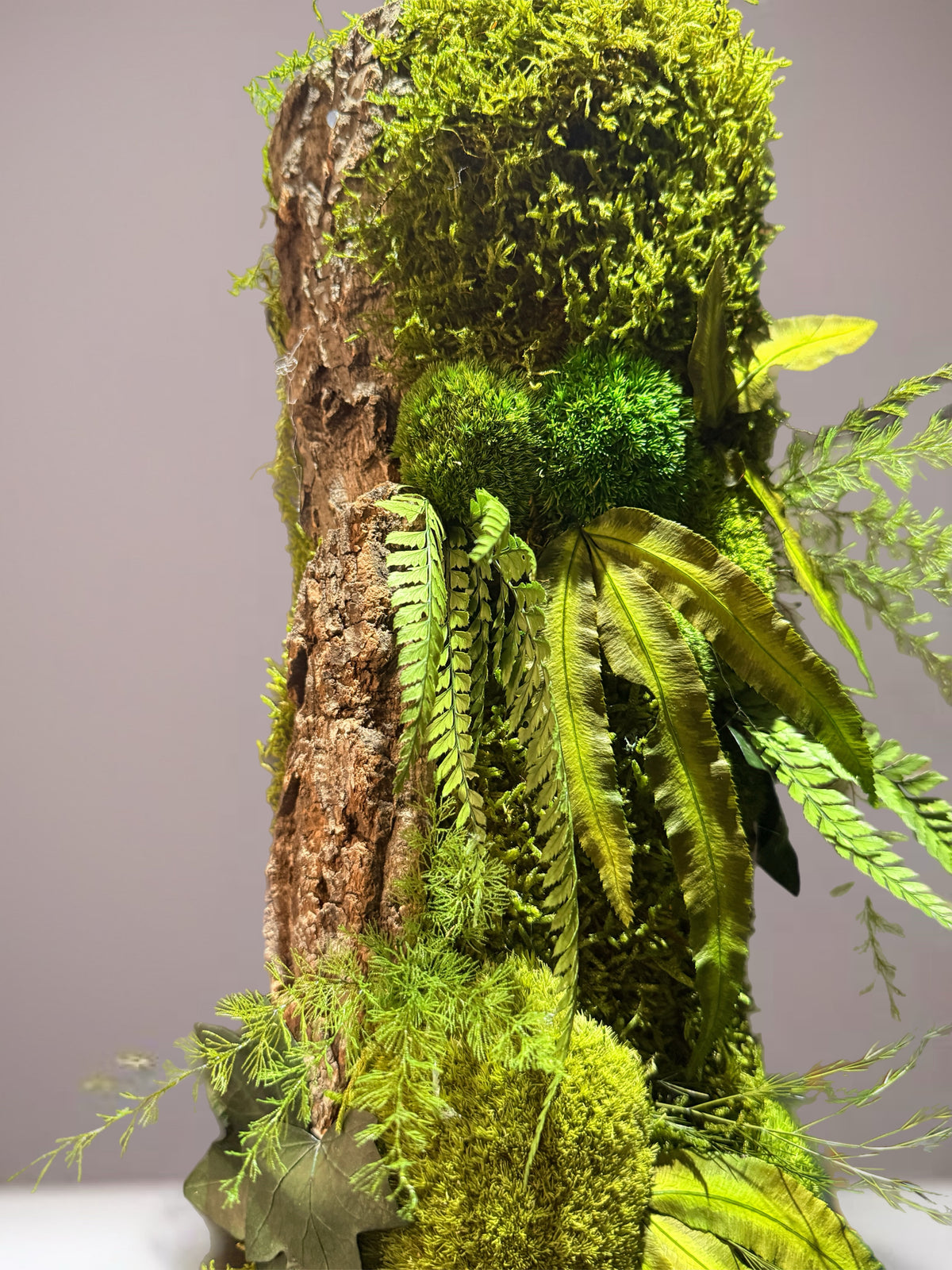 Le Totem végétal – Sculpture murale en écorce, 58 × 23 cm