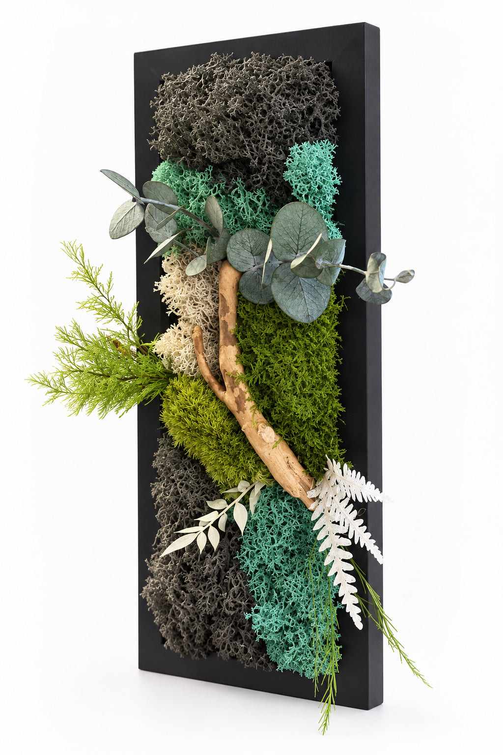 Cadre végétal stabilisé étroit – Fragment de Nature