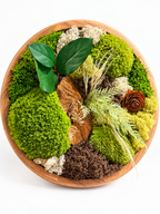 Tableau végétal rond en acacia 40 cm – L’Essence de la Forêt