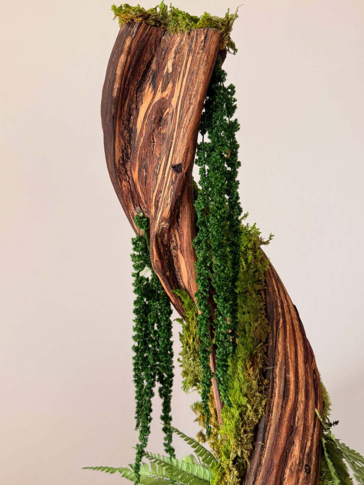 L’Ascension Végétale – Sculpture végétale stabilisée, 42 cm