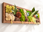 L’Entrée Naturelle – Porte-clés mural végétal stabilisé | 43 × 13 cm