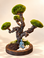 Bonsaï végétal stabilisé – Arbre nuage sur socle en bois