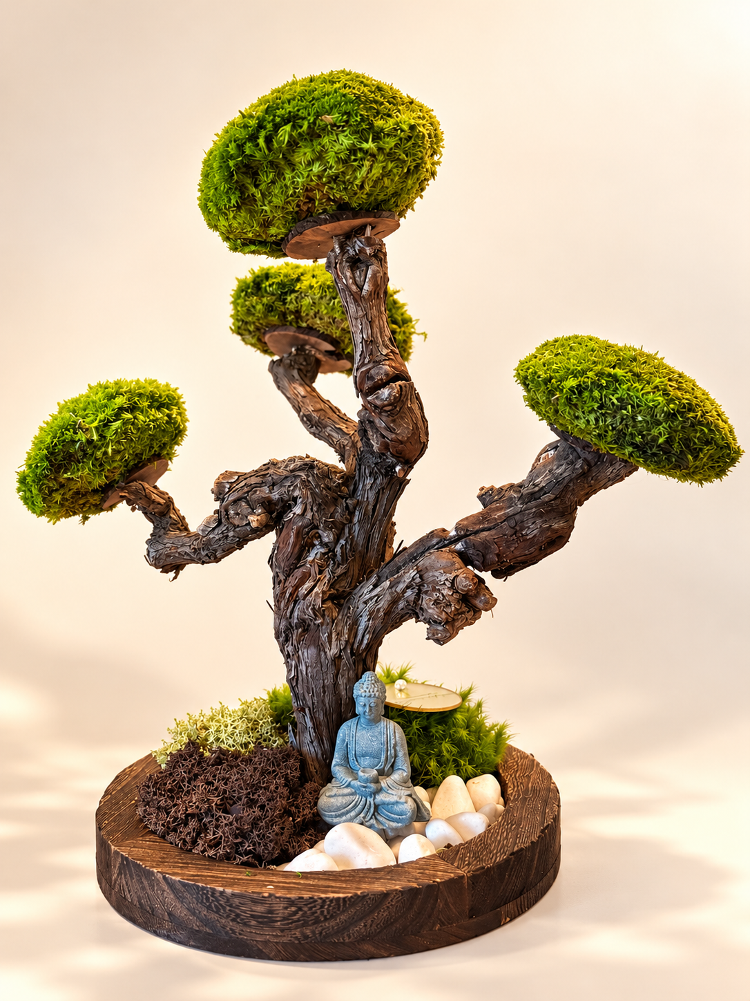 Bonsaï végétal stabilisé – Arbre nuage sur socle en bois