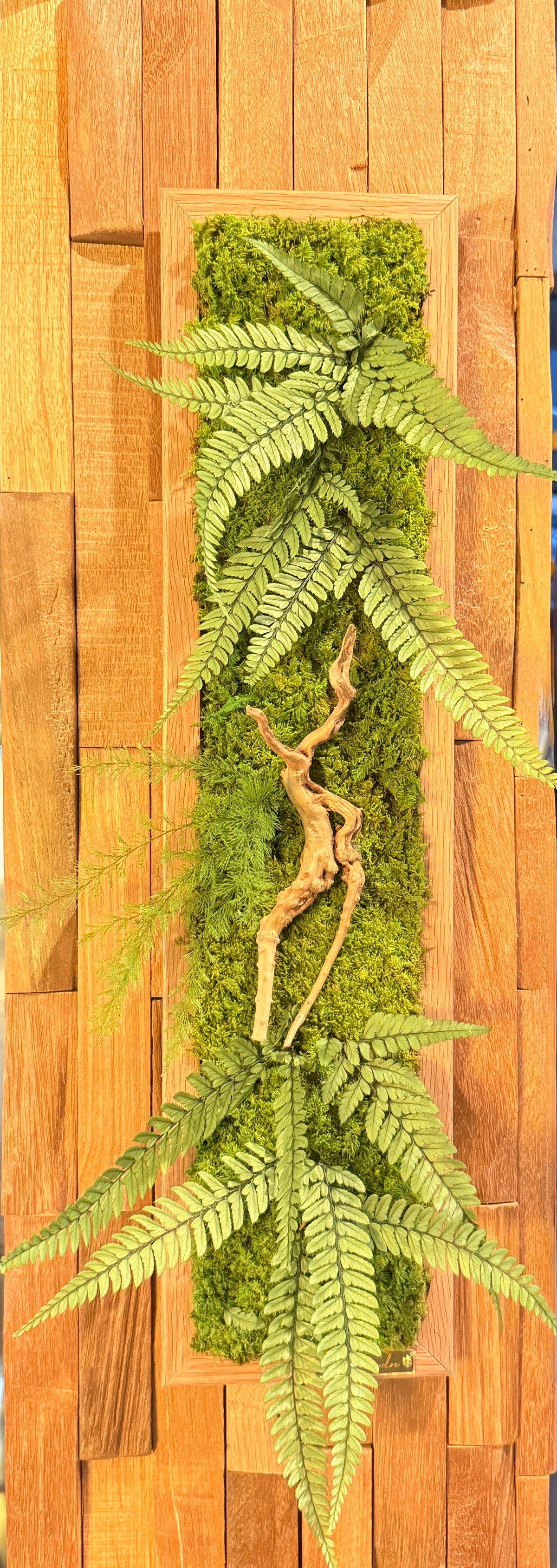 Jungle – Tableau végétal stabilisé aux fougères et bois flotté, 48 × 11 cm