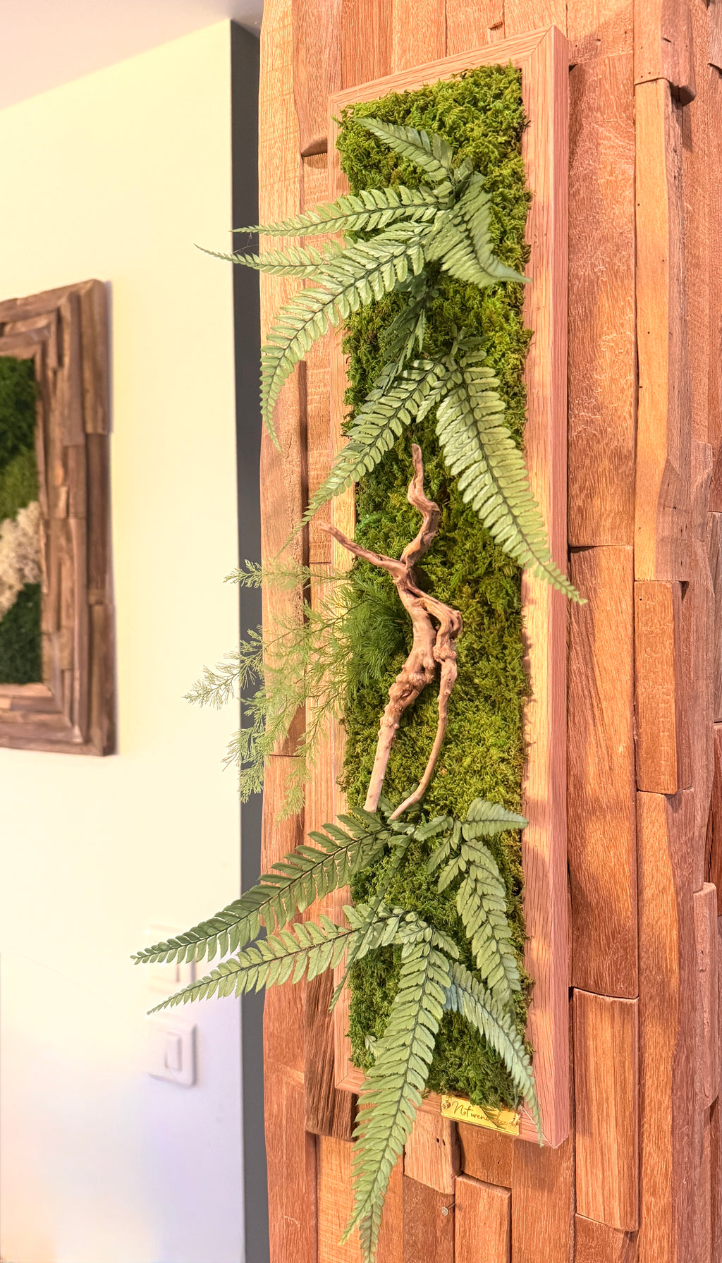 Jungle – Tableau végétal stabilisé aux fougères et bois flotté, 48 × 11 cm