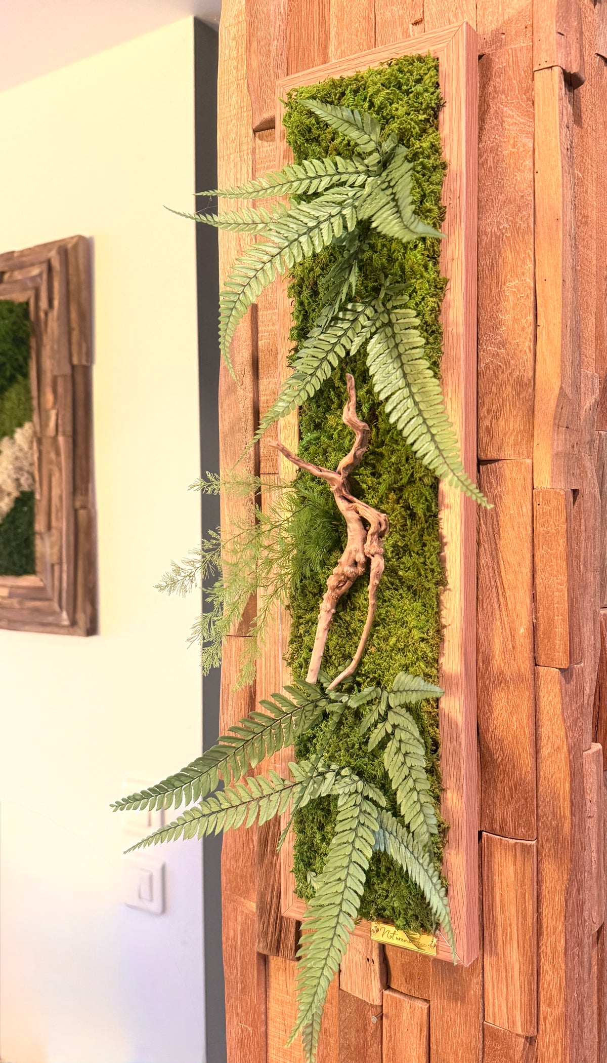 Jungle – Tableau végétal stabilisé aux fougères et bois flotté, 48 × 11 cm
