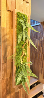 Jungle – Tableau végétal stabilisé aux fougères et bois flotté, 48 × 11 cm