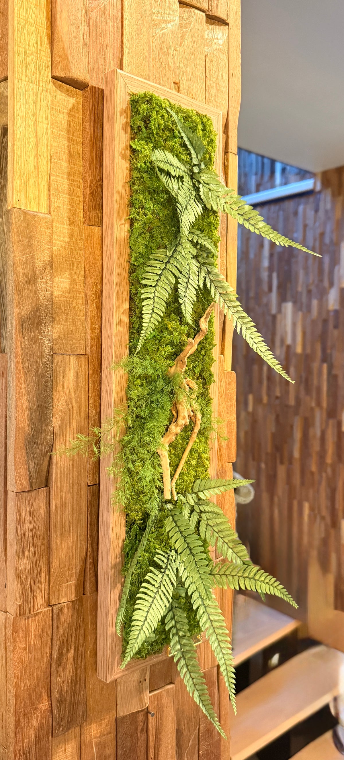Jungle – Tableau végétal stabilisé aux fougères et bois flotté, 48 × 11 cm