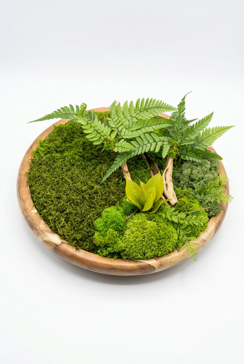 Écrin de Forêt – Tableau végétal stabilisé rond – 40 cm