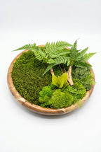 Écrin de Forêt – Tableau végétal stabilisé rond – 40 cm