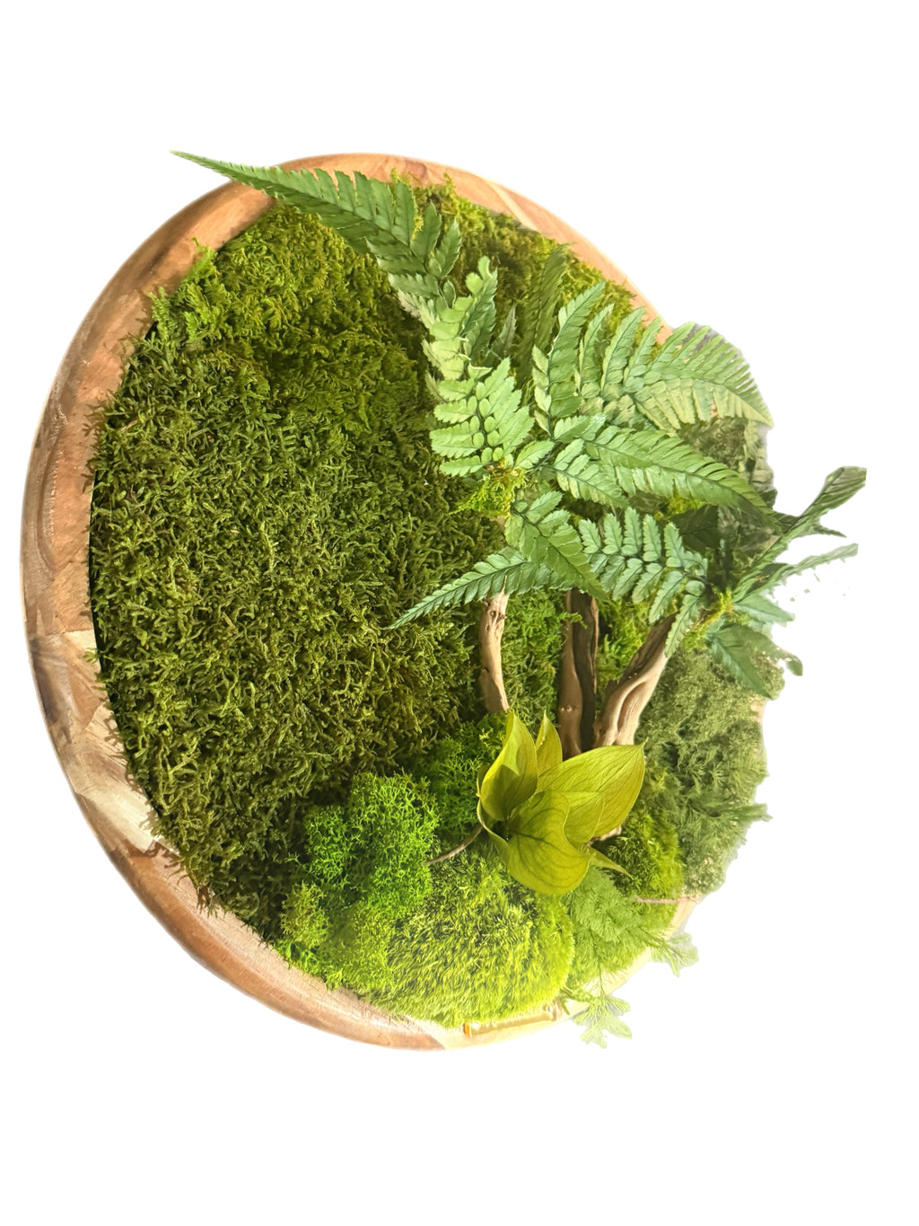 Écrin de Forêt – Tableau végétal stabilisé rond – 40 cm