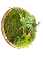Écrin de Forêt – Tableau végétal stabilisé rond – 40 cm