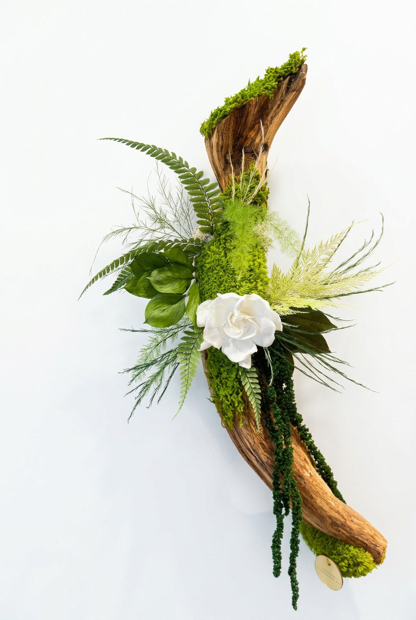 L’Élan de la Nature – Sculpture végétale murale sur liane, 55 cm
