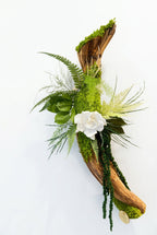L’Élan de la Nature – Sculpture végétale murale sur liane, 55 cm