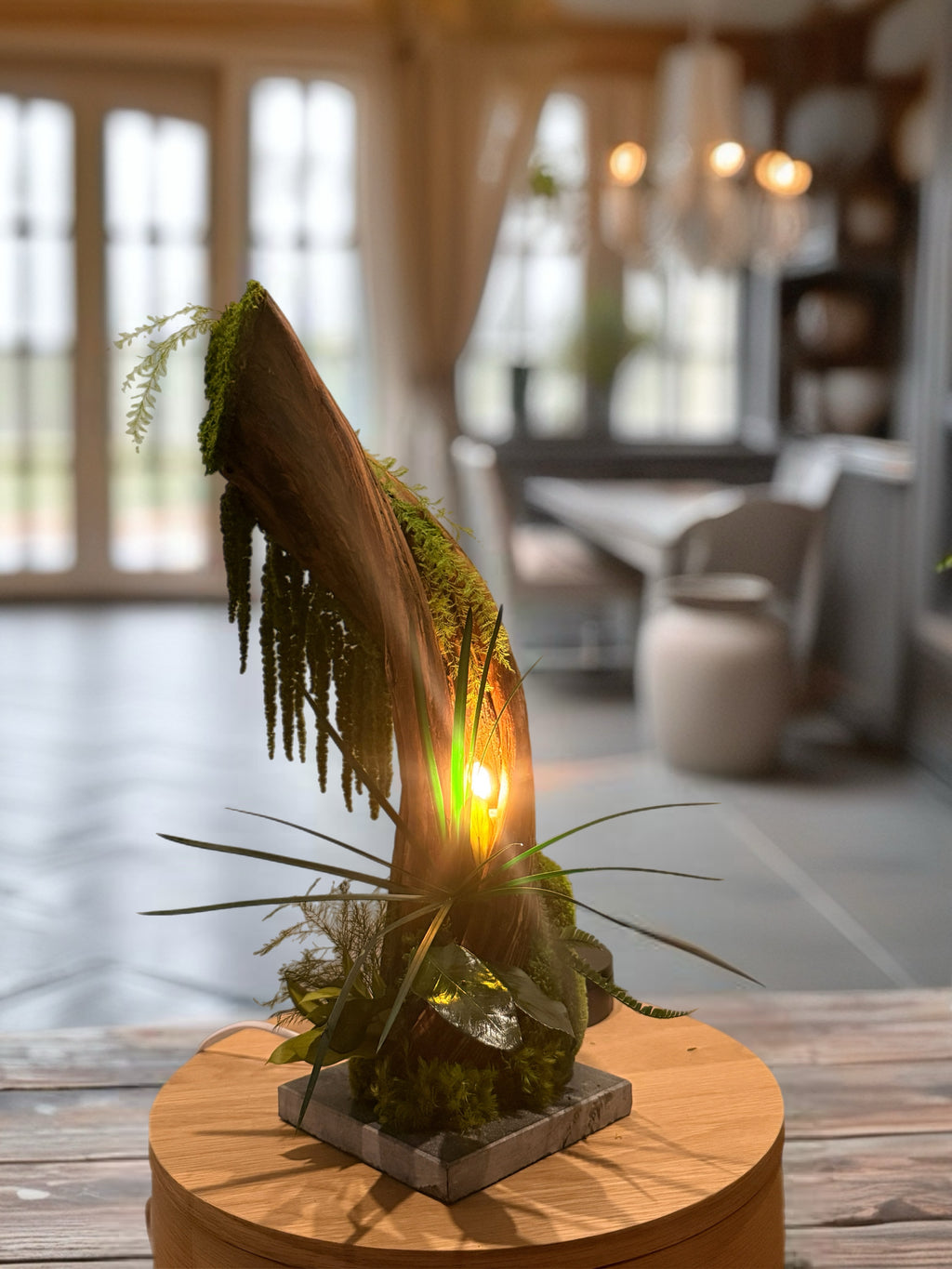 Lueur Sauvage – Sculpture végétale lumineuse en liane naturelle