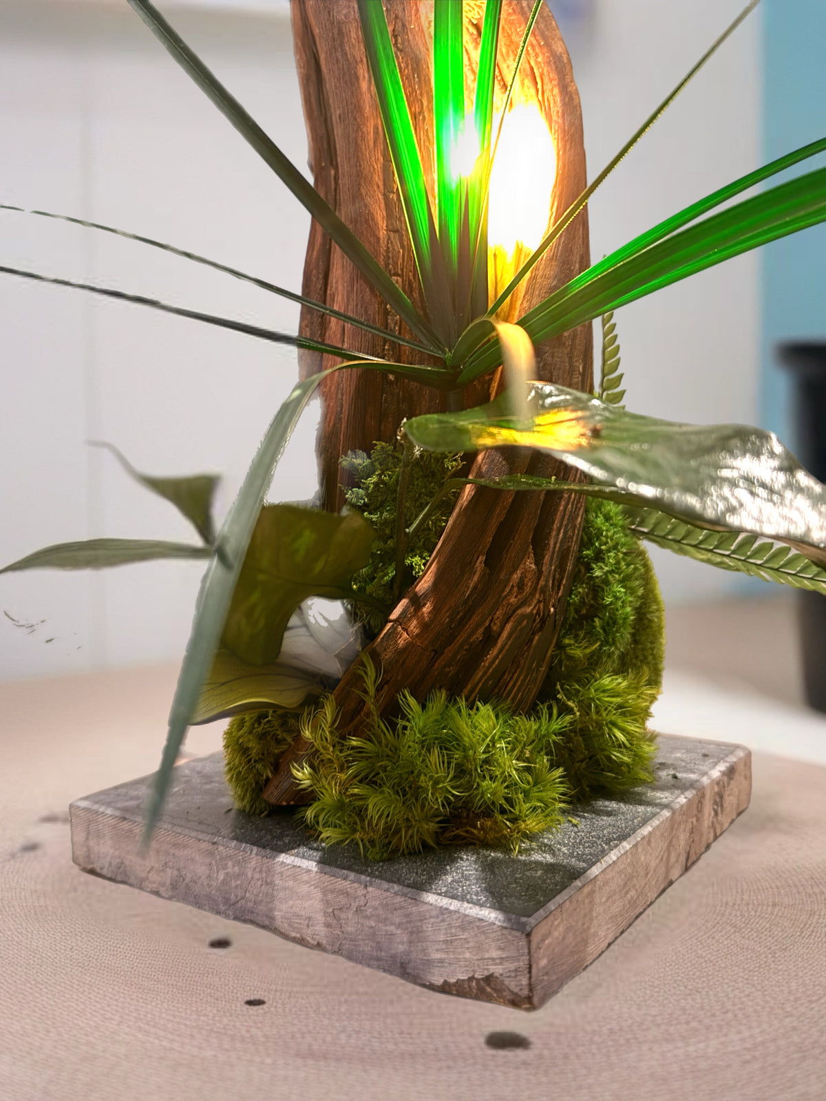 Lueur Sauvage – Sculpture végétale lumineuse en liane naturelle