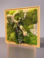 L’Alliance Sauvage – Tableau végétal stabilisé 75 × 75 cm