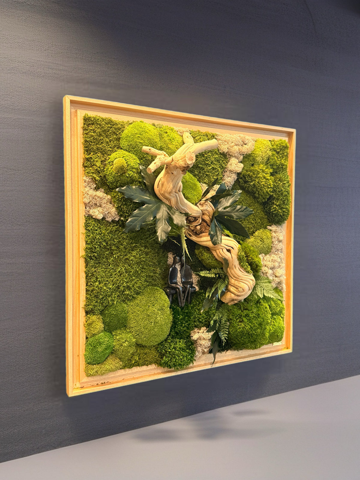 Tableau végétal stabilisé L’Alliance Sauvage 75 × 75 cm, bois flotté sculptural, mousses naturelles et caisse américaine en bois.