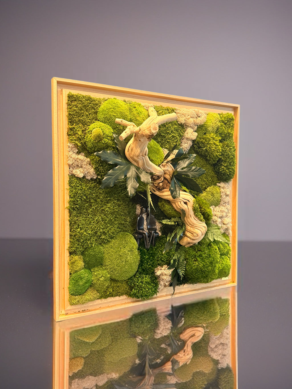 Tableau végétal stabilisé L’Alliance Sauvage 75 × 75 cm, bois flotté sculptural, mousses naturelles et caisse américaine en bois.
