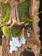 Décoration murale naturelle en liège et végétaux stabilisés, reliefs et textures de forêt