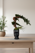 Bonsaï vase visage - mise en scène intérieur japandi