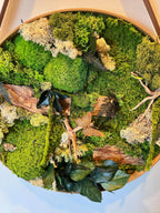 Tableau végétal rond 50 cm – Mousse stabilisée, bois naturel & papillons