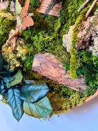 Tableau végétal rond 50 cm – Mousse stabilisée, bois naturel & papillons