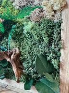 Cadre végétal mural en mousse stabilisée et bois flotté