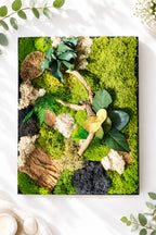Cadre végétal stabilisé 42 × 33 cm – Mousse et bois flotté