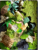 Cadre végétal stabilisé 42 × 33 cm – Mousse et bois flotté