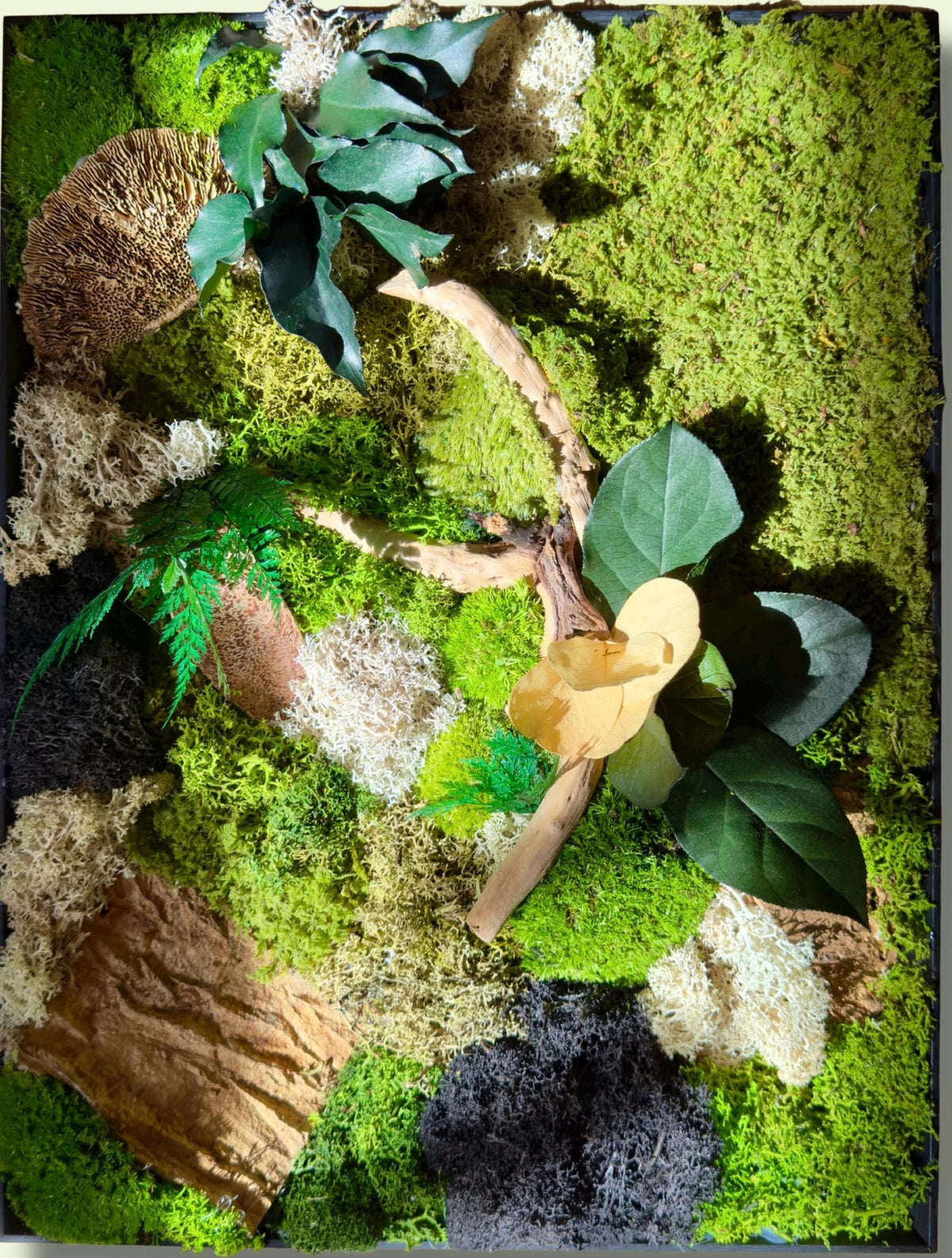 Cadre végétal stabilisé 42 × 33 cm – Mousse et bois flotté