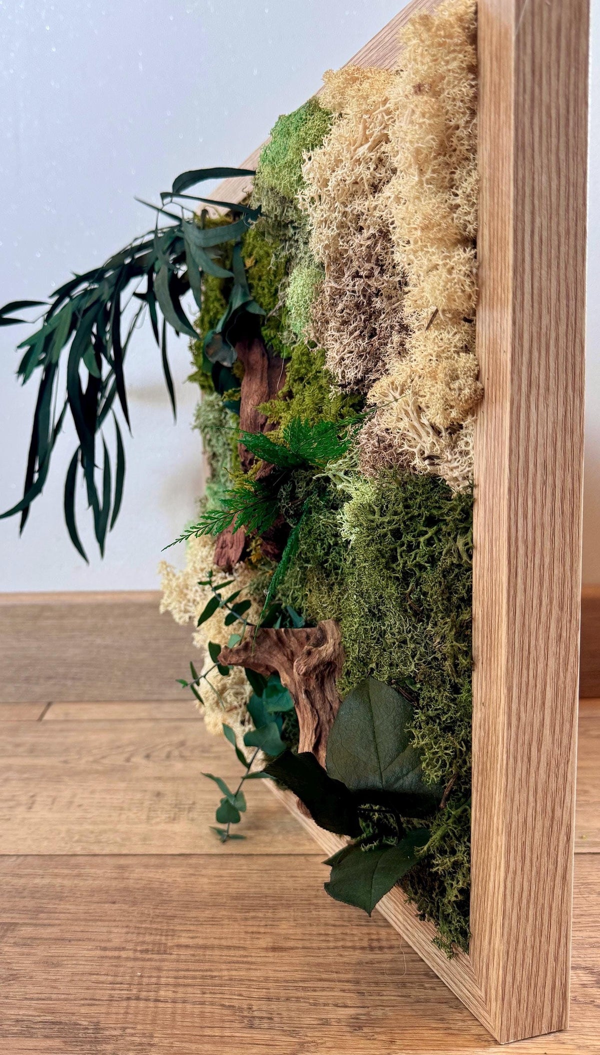 Cadre végétal mural en mousse stabilisée et bois flotté