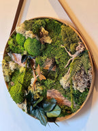 Tableau végétal rond 50 cm – Mousse stabilisée, bois naturel & papillons