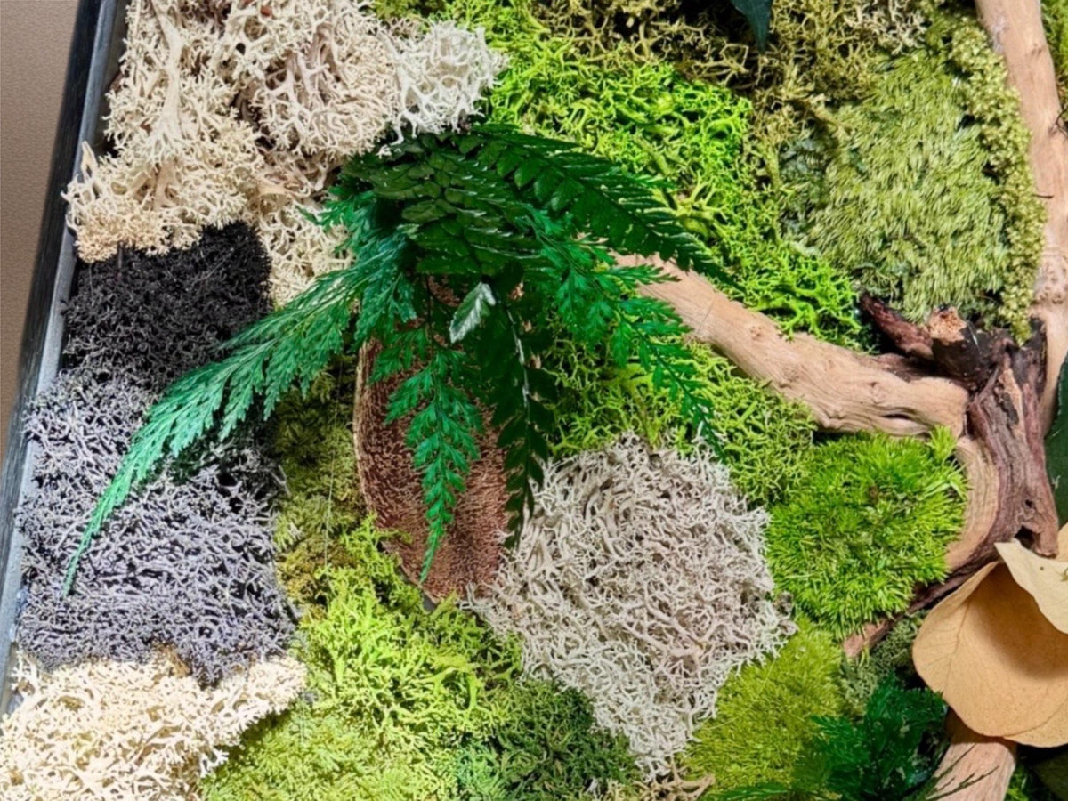 Cadre végétal stabilisé 42 × 33 cm – Mousse et bois flotté