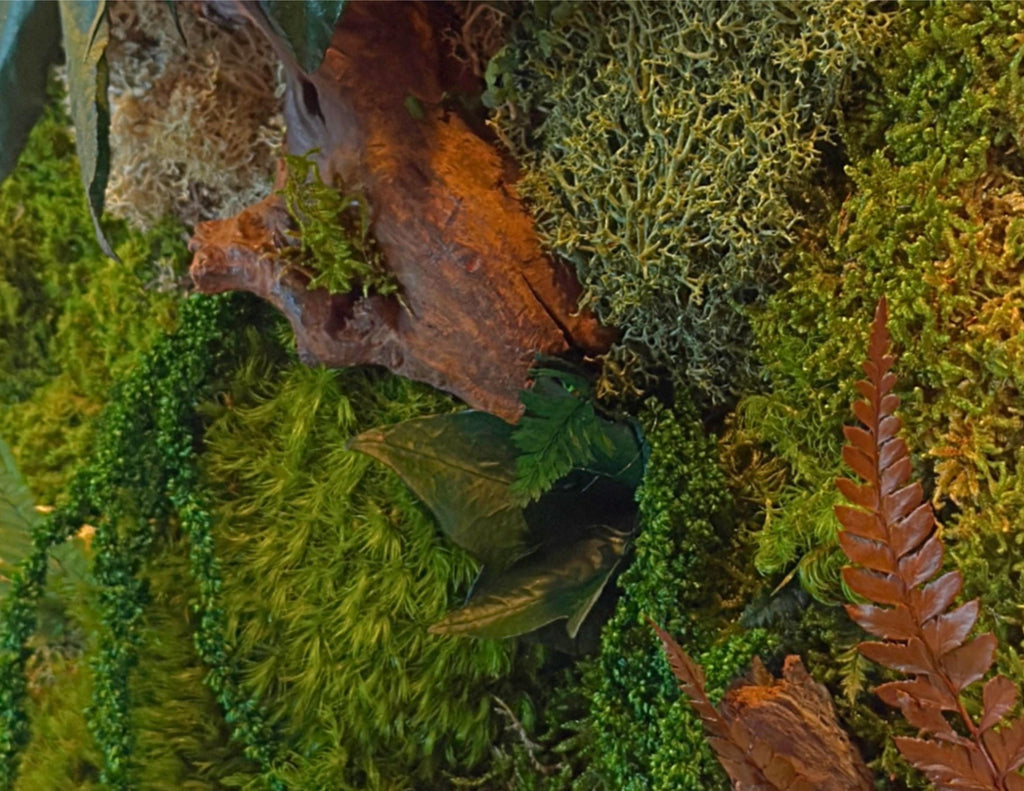 Cadre végétal mural 42 × 33 cm – Mousse et lichens stabilisés