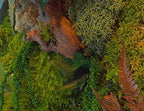 Cadre végétal mural 42 × 33 cm – Mousse et lichens stabilisés