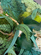 Cadre Végétal Rond Stabilisé — Mousse, Eucalyptus & Lichen | Tableau Mural Fait Main