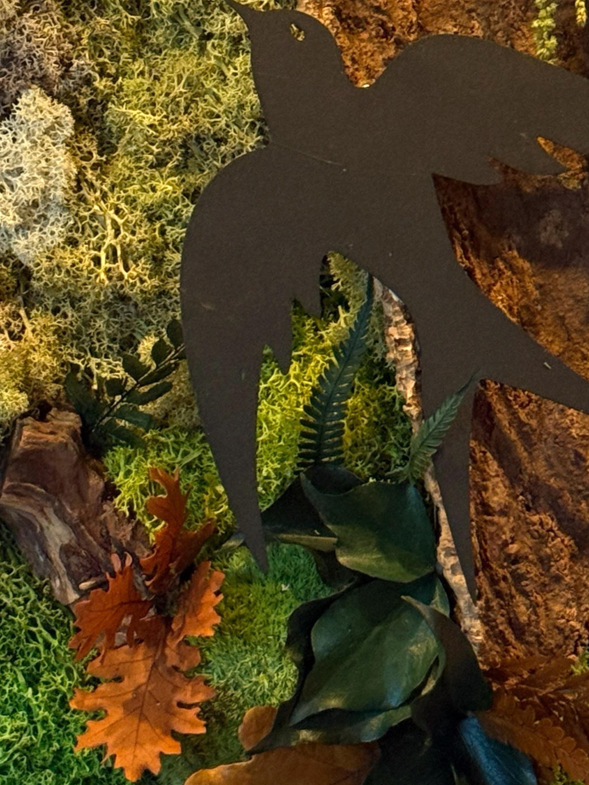 Gros plan sur les textures végétales du cadre Naturencadre : mousse stabilisée, écorce brute et feuillages contrastés