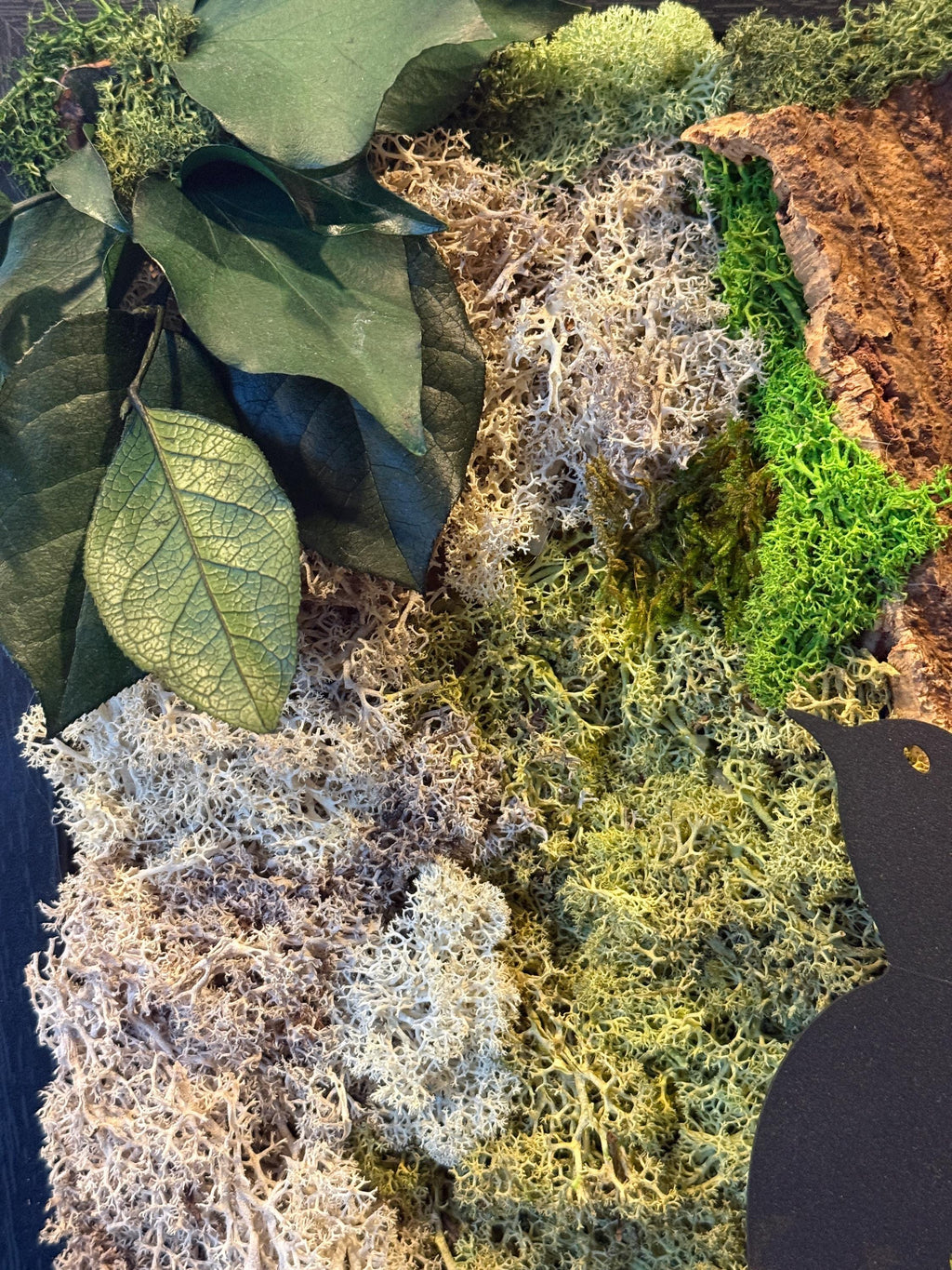 Relief du cadre végétal artisanal, alliance de matière brute et de verdure stabilisée