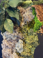 Relief du cadre végétal artisanal, alliance de matière brute et de verdure stabilisée