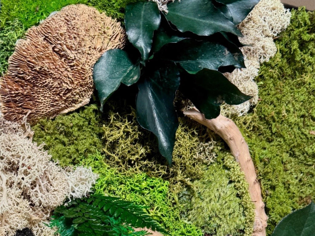 Cadre végétal stabilisé 42 × 33 cm – Mousse et bois flotté