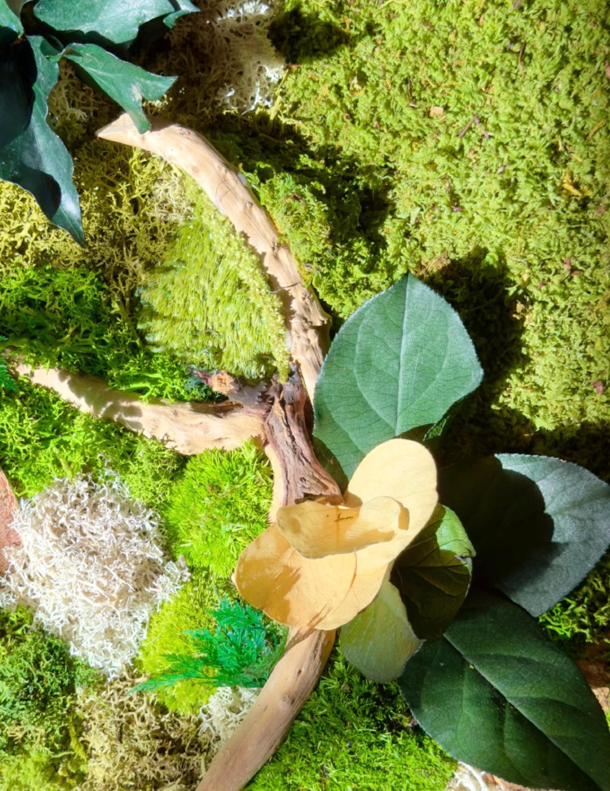 Cadre végétal stabilisé 42 × 33 cm – Mousse et bois flotté
