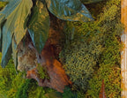 Cadre végétal mural 42 × 33 cm – Mousse et lichens stabilisés