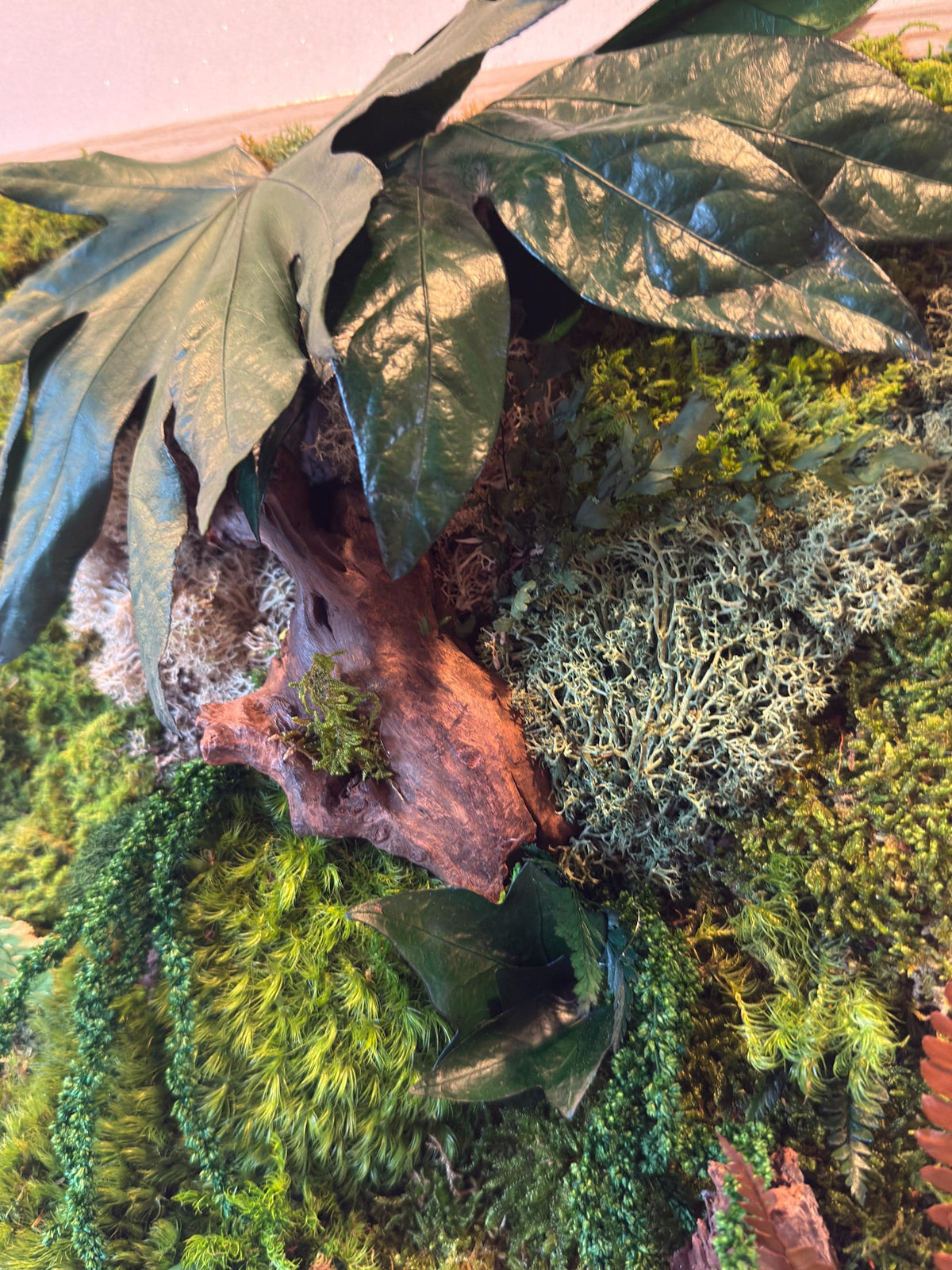 Cadre végétal mural 42 × 33 cm – Mousse et lichens stabilisés