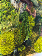 Cadre végétal mural 42 × 33 cm – Mousse et lichens stabilisés