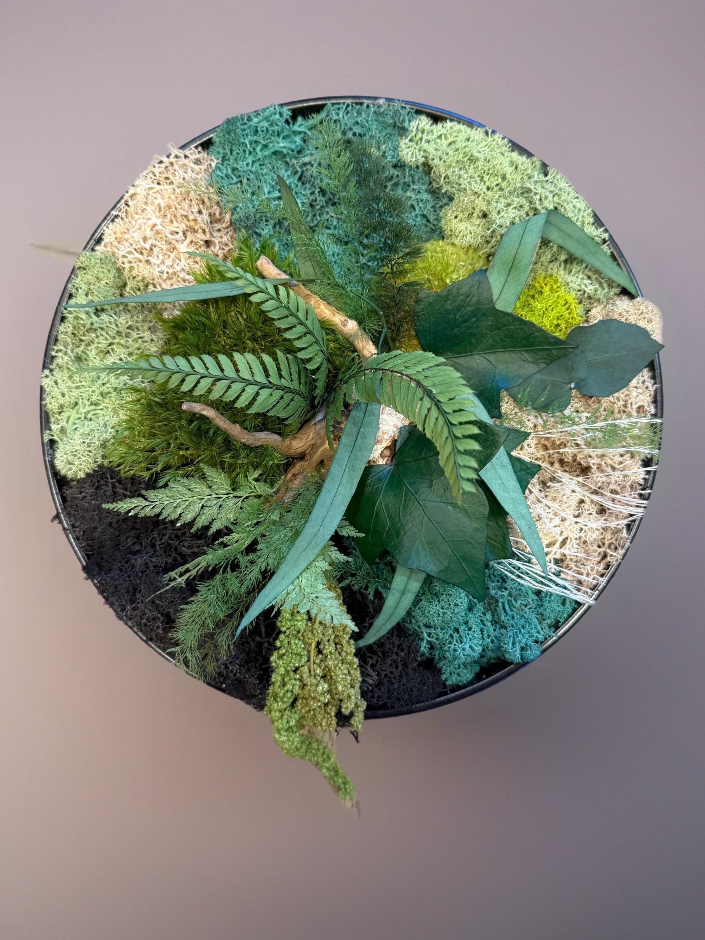 Cadre Végétal Rond Stabilisé — Mousse, Eucalyptus & Lichen | Tableau Mural Fait Main