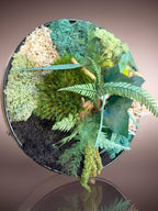 Cadre Végétal Rond Stabilisé — Mousse, Eucalyptus & Lichen | Tableau Mural Fait Main