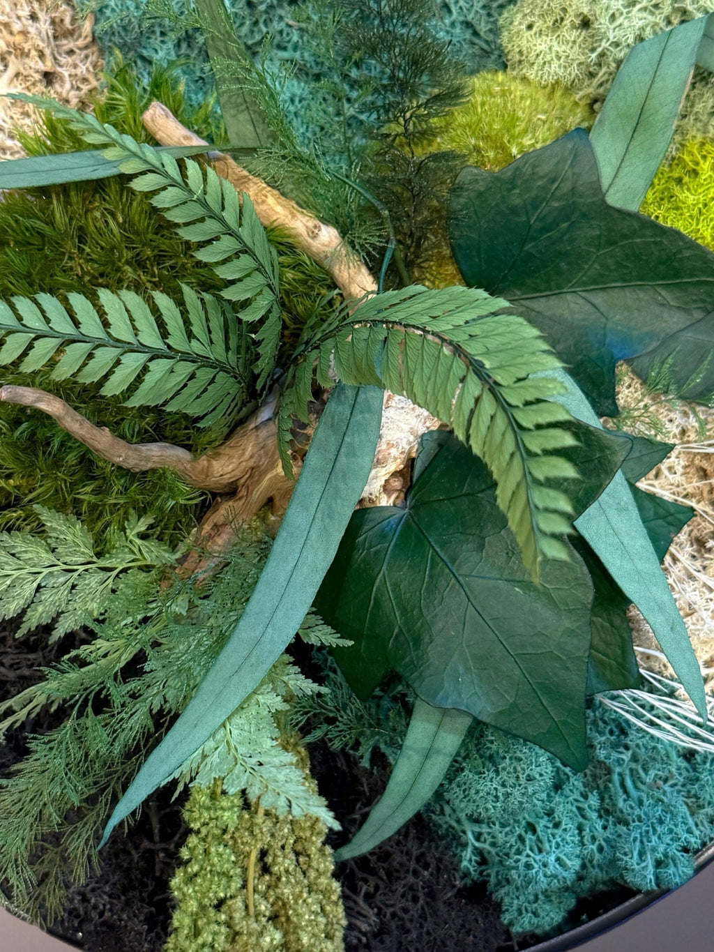 Cadre Végétal Rond Stabilisé — Mousse, Eucalyptus & Lichen | Tableau Mural Fait Main