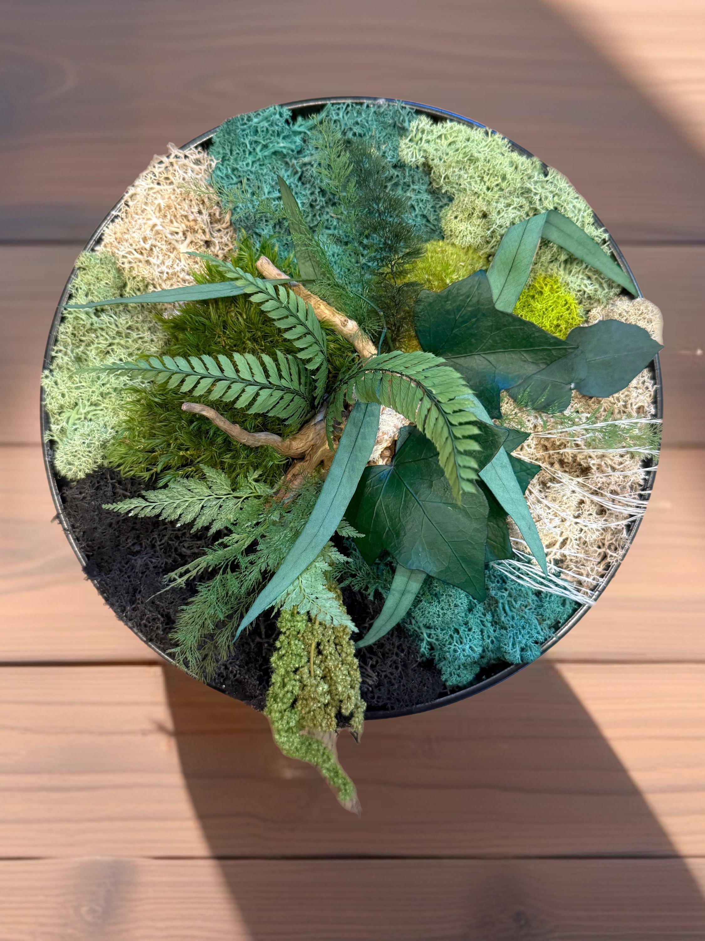 Cadre Végétal Rond Stabilisé — Mousse, Eucalyptus & Lichen | Tableau Mural Fait Main