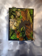 Cadre végétal 33x43 cm avec oiseau noir, mousses stabilisées et écorce naturelle – création artisanale Naturencadre